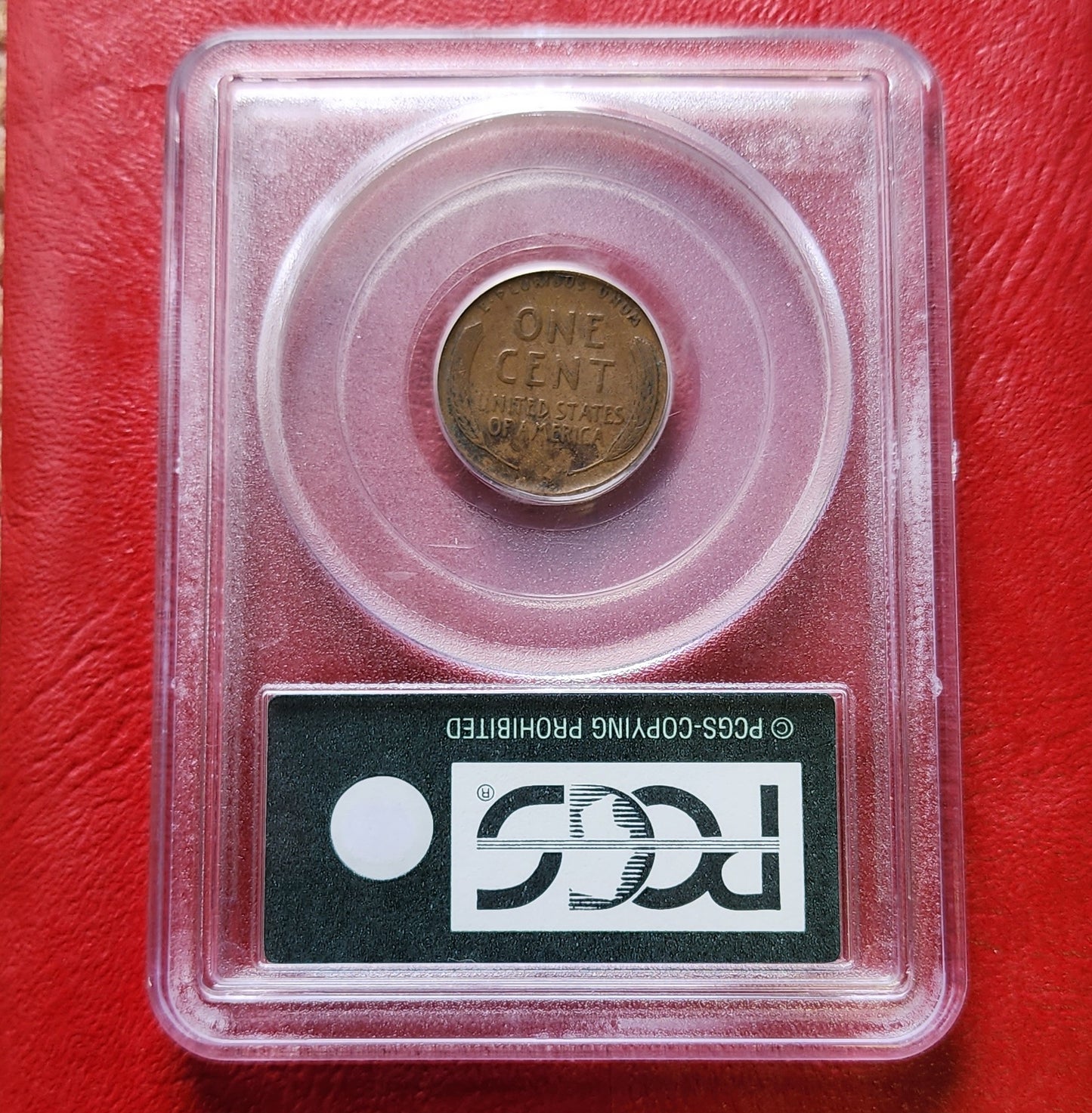 PCGS Sample Slab - 1920s Lincoln Wheat Cent